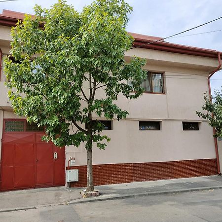 Z Villa Bucharest Luaran gambar